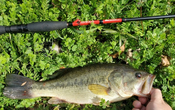 hideup 久次米良信 ブログ写真 2020/03/03