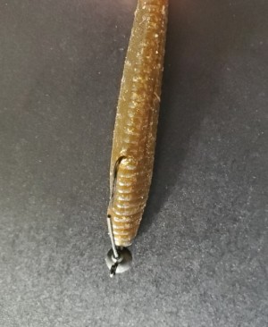 hideup 久次米良信 ブログ写真 2020/03/03