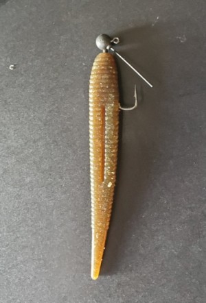 hideup 久次米良信 ブログ写真 2020/03/03