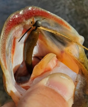 hideup 久次米良信 ブログ写真 2020/03/03