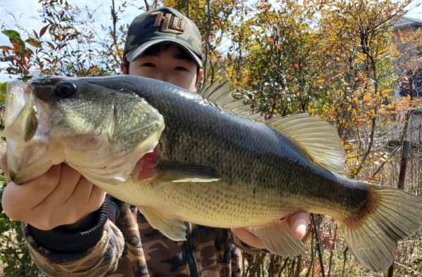 hideup 久次米良信 ブログ写真 2020/03/04