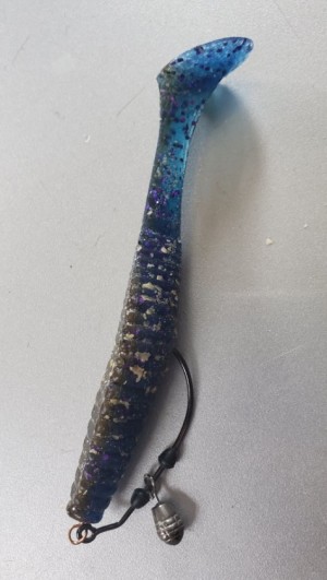 hideup 久次米良信 ブログ写真 2020/03/04