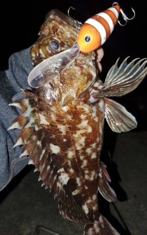 hideup 久次米良信 ブログ写真 2020/03/05