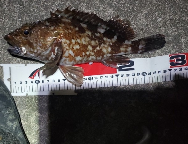 hideup 久次米良信 ブログ写真 2020/03/05