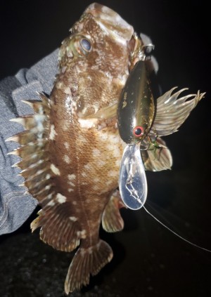 hideup 久次米良信 ブログ写真 2020/03/07