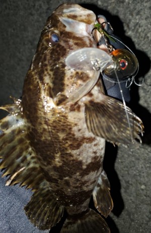 hideup 久次米良信 ブログ写真 2020/03/07