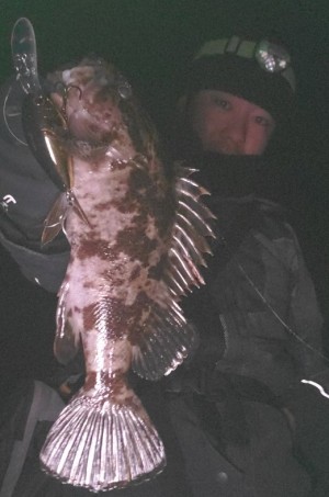 hideup 久次米良信 ブログ写真 2020/03/07