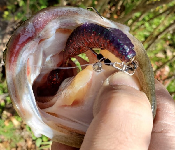 hideup 久次米良信 ブログ写真 2020/03/13