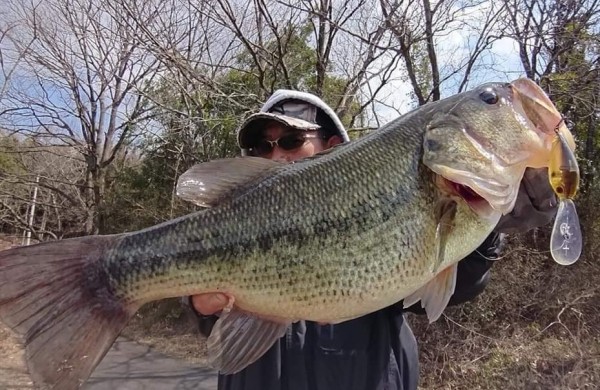 hideup 久次米良信 ブログ写真 2020/03/17