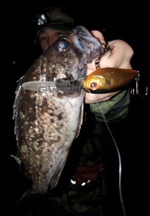 hideup 久次米良信 ブログ写真 2020/03/20