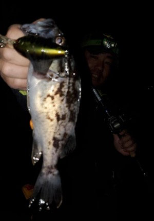 hideup 久次米良信 ブログ写真 2020/03/20