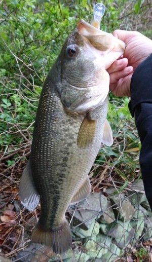 hideup 久次米良信 ブログ写真 2020/04/02