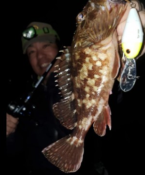 hideup 久次米良信 ブログ写真 2020/04/04