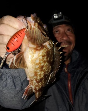 hideup 久次米良信 ブログ写真 2020/04/04