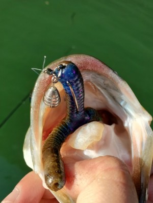 hideup 久次米良信 ブログ写真 2020/04/06