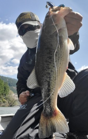 hideup 久次米良信 ブログ写真 2020/04/06