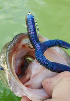 hideup 久次米良信 ブログ写真 2020/04/06