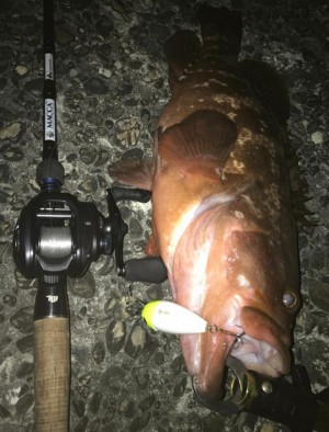 hideup 久次米良信 ブログ写真 2020/04/07