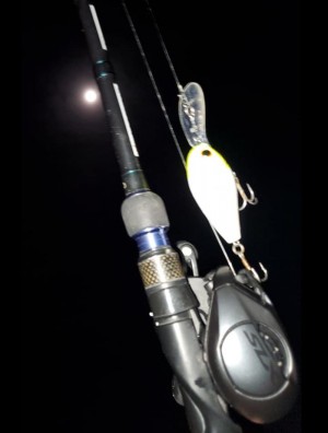 hideup 久次米良信 ブログ写真 2020/04/07