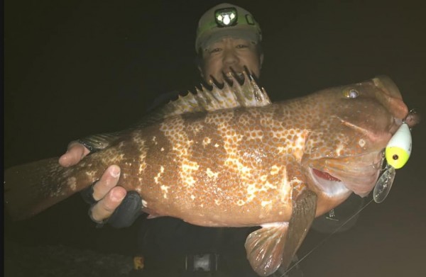 hideup 久次米良信 ブログ写真 2020/04/07