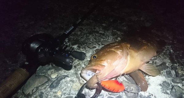 hideup 久次米良信 ブログ写真 2020/04/09