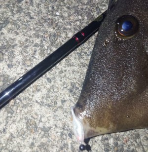 hideup 久次米良信 ブログ写真 2020/04/15