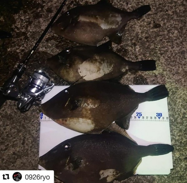 hideup 久次米良信 ブログ写真 2020/04/15