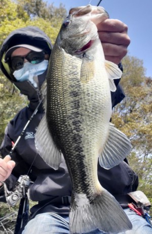 hideup 久次米良信 ブログ写真 2020/04/20