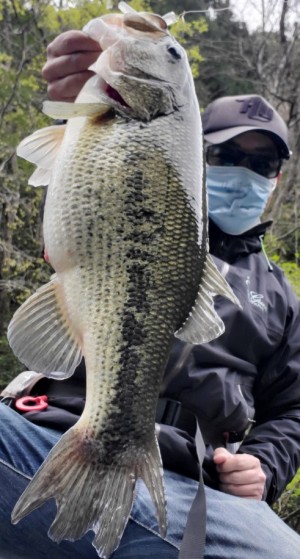 hideup 久次米良信 ブログ写真 2020/04/20