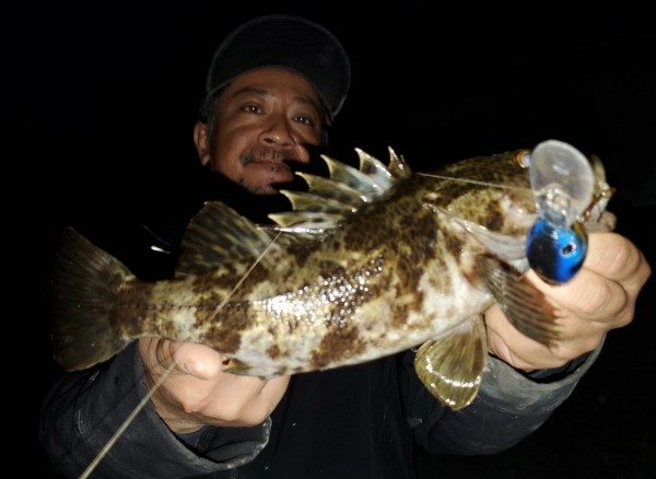 hideup 久次米良信 ブログ写真 2020/04/21