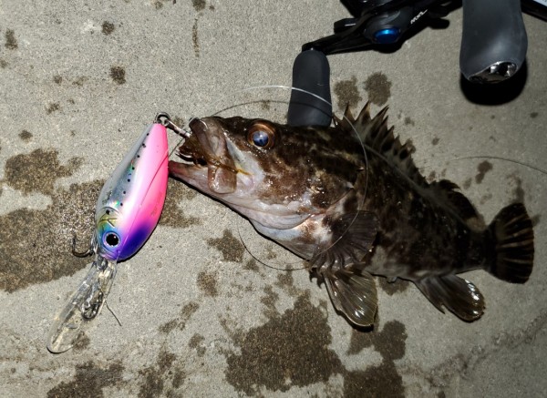 hideup 久次米良信 ブログ写真 2020/04/21