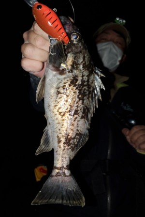 hideup 久次米良信 ブログ写真 2020/04/21