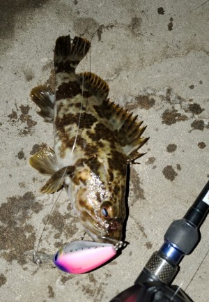 hideup 久次米良信 ブログ写真 2020/04/21