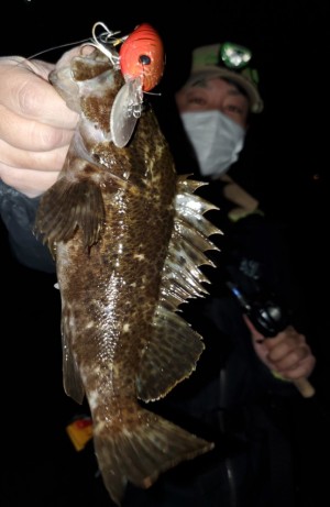 hideup 久次米良信 ブログ写真 2020/04/21