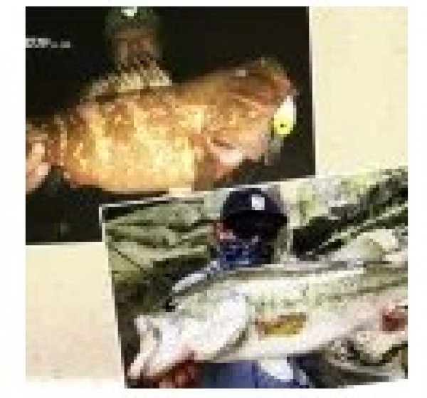 hideup 久次米良信 ブログ写真 2020/05/08