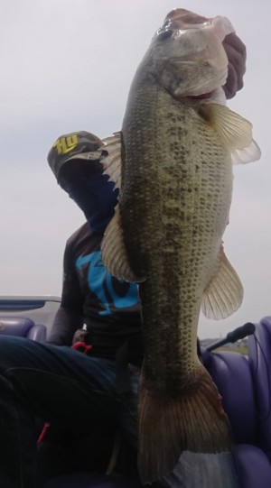 hideup 久次米良信 ブログ写真 2020/05/09