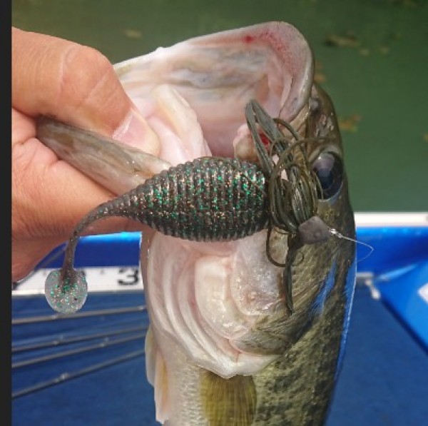 hideup 久次米良信 ブログ写真 2020/05/09