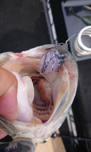 hideup 久次米良信 ブログ写真 2020/05/09