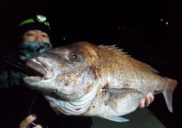 hideup 久次米良信 ブログ写真 2020/05/11