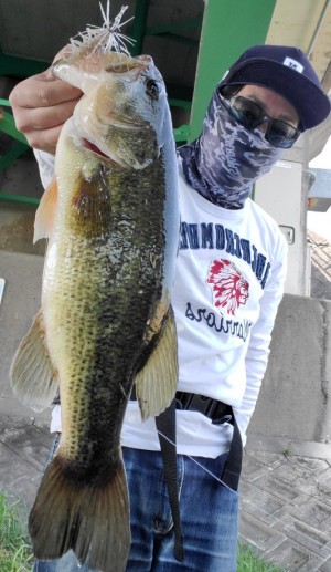 hideup 久次米良信 ブログ写真 2020/05/14