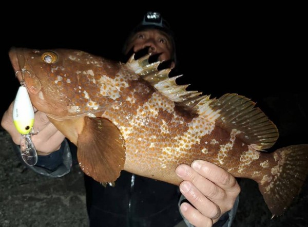 hideup 久次米良信 ブログ写真 2020/05/15