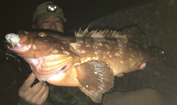 hideup 久次米良信 ブログ写真 2020/05/19