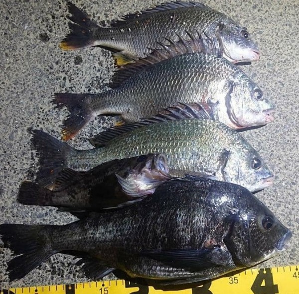 hideup 久次米良信 ブログ写真 2020/06/02