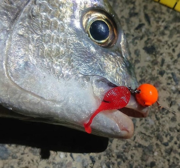 hideup 久次米良信 ブログ写真 2020/06/02