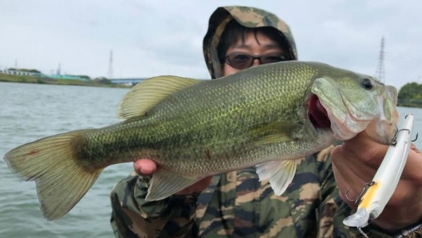 hideup 久次米良信 ブログ写真 2020/06/03