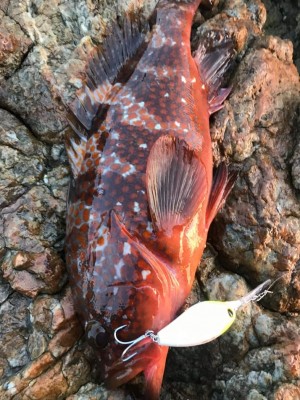 hideup 久次米良信 ブログ写真 2020/06/04