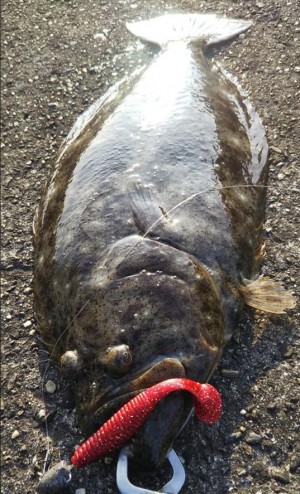 hideup 久次米良信 ブログ写真 2020/06/05