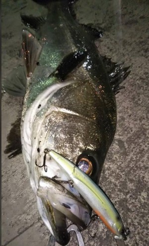 hideup 久次米良信 ブログ写真 2020/06/05