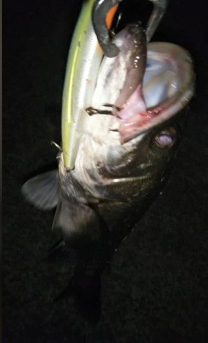 hideup 久次米良信 ブログ写真 2020/06/05