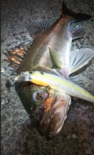 hideup 久次米良信 ブログ写真 2020/06/05